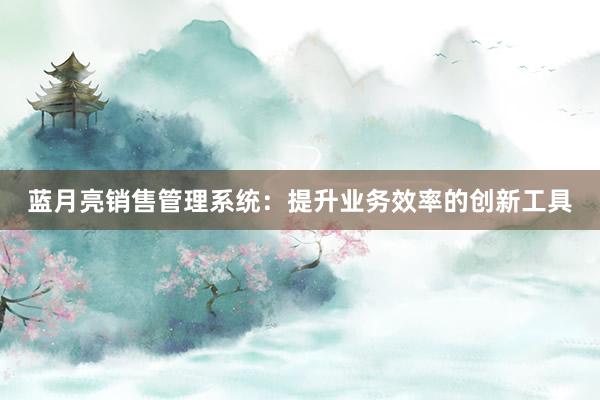 蓝月亮销售管理系统：提升业务效率的创新工具